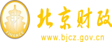 日批在线北京市财政局