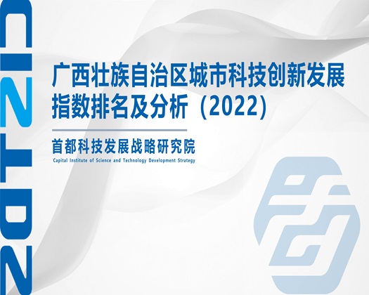 大鸡巴操美女救品逼逼视频【成果发布】广西壮族自治区城市科技创新发展指数排名及分析（2022）